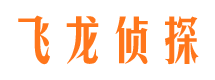 托克托私家侦探